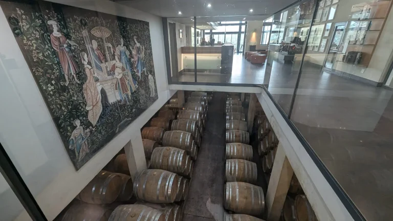 开普敦周边酒庄漫游手记：弗朗斯胡克 vs 斯泰伦博斯，哪杯更对味？