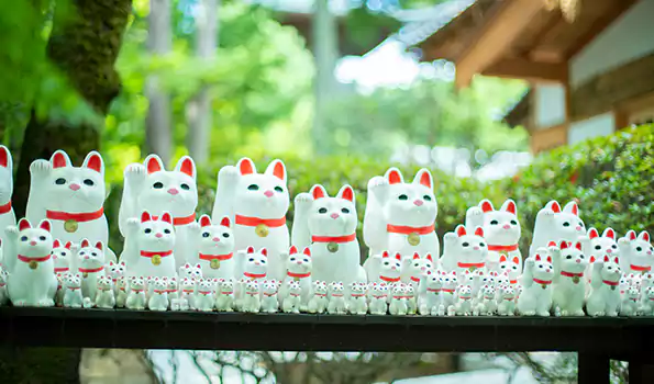 东京小众秘境 | 豪德寺：走进千只招财猫的白色森林，赴一场跨越时空的幸福约定插图